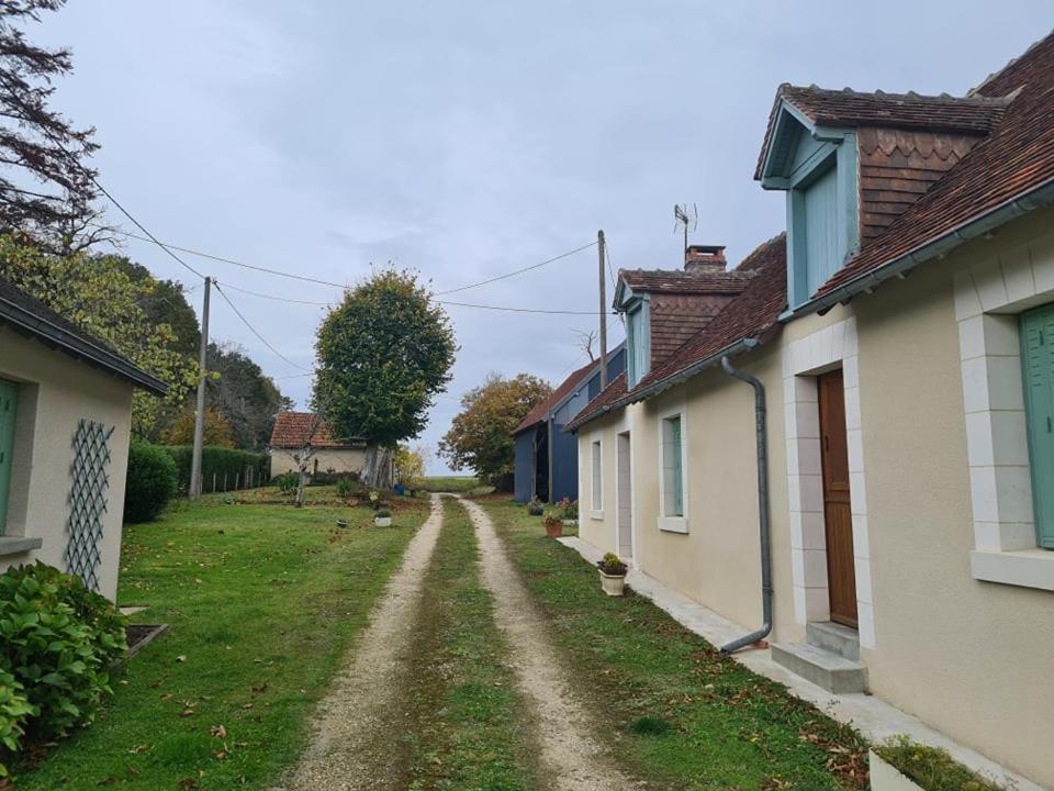 Le Domaine Du Bengal A 2 Pas De Beauval Villa Veuil Luaran gambar